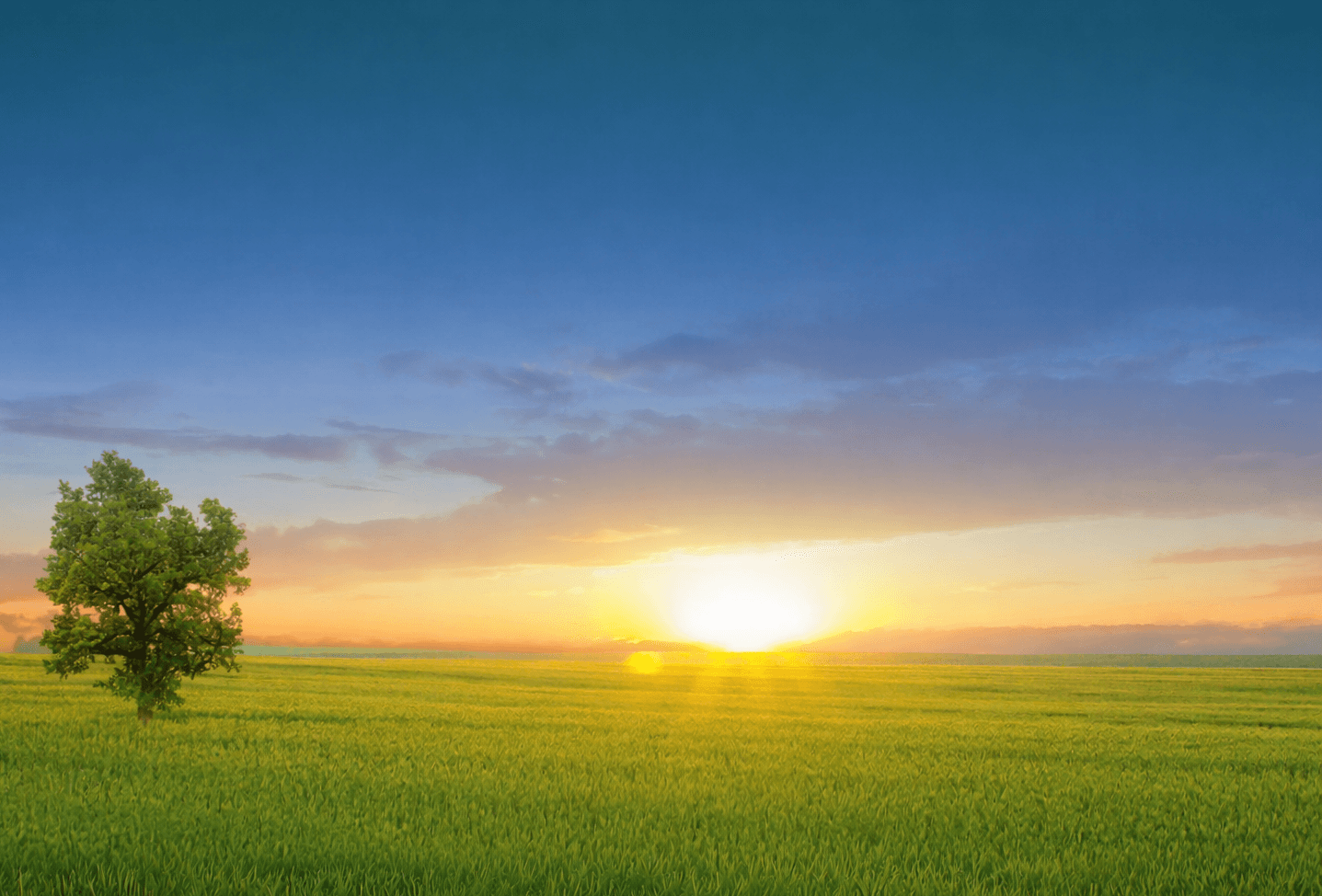 Green Valley Dental - Modern Dentistry in Fairfield, CA